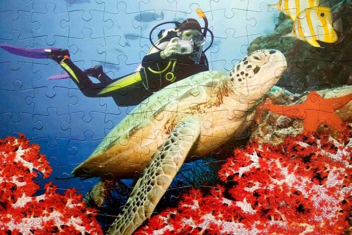 Puzzle