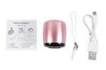 TWS Bluetooth Lautsprecher