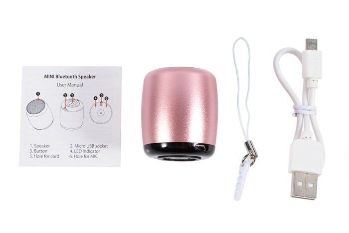 TWS Bluetooth Lautsprecher