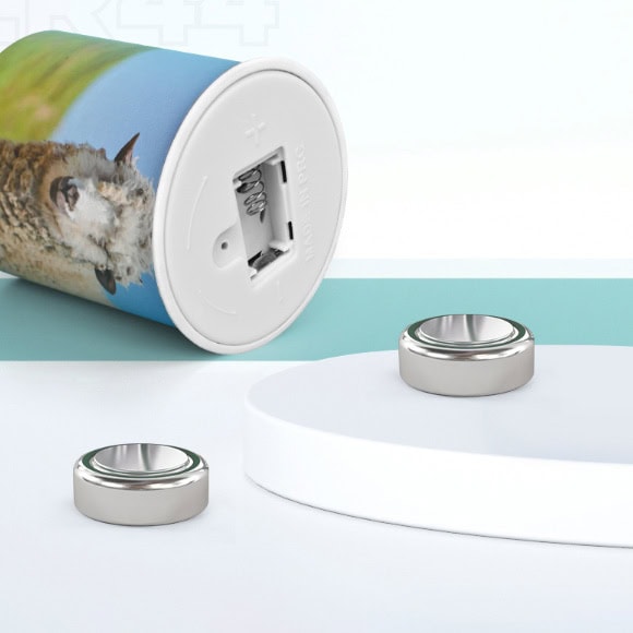 Austauschbare Batterien